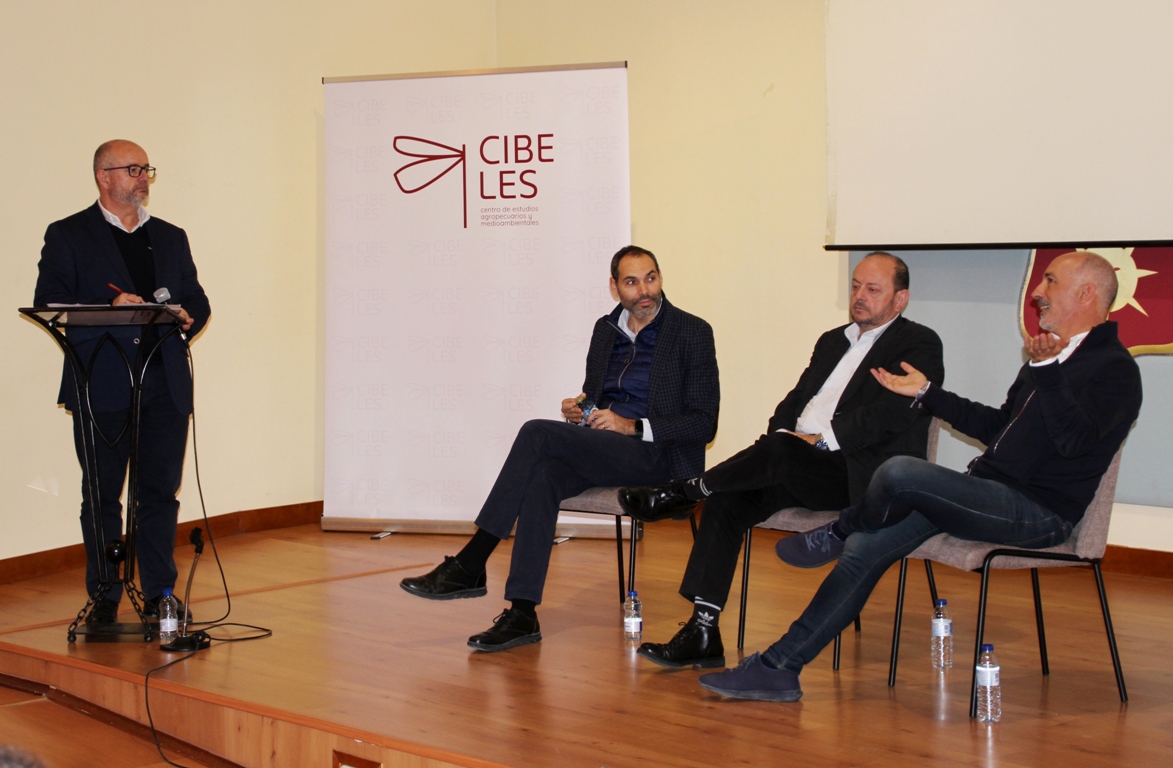 -Mesa redonda