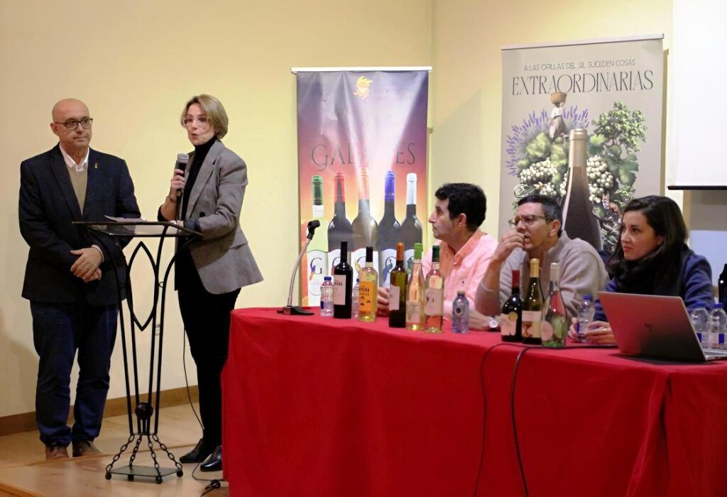 -Presentación_vinos_bodegueros-.jpg