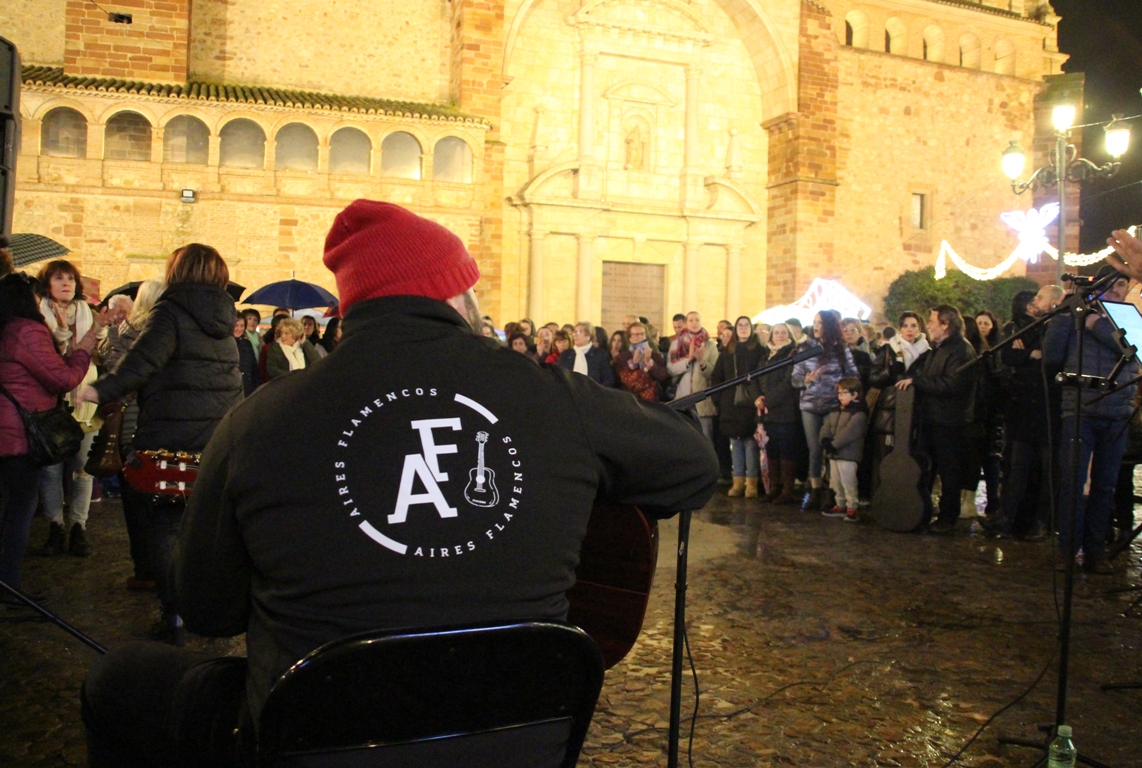 -Zambomba solidaria Aires Flamencos