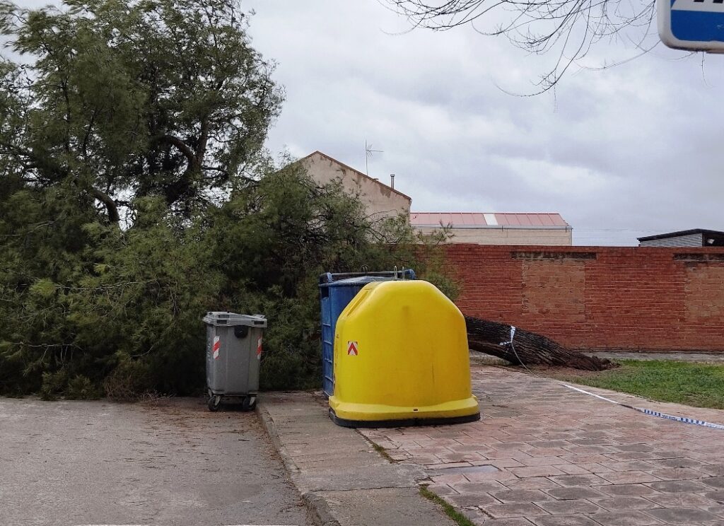 -Árbol caído en calle Luis Barille